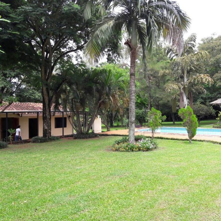 Vendo Granja 2,5 hectáreas, ITA km 32,5 sobre empedrado a 2 minutos de la ruta. — foto 3