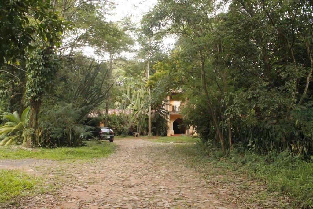 VENDO CASA CON 4,5 HECTAREAS DE TERRENO — foto 3
