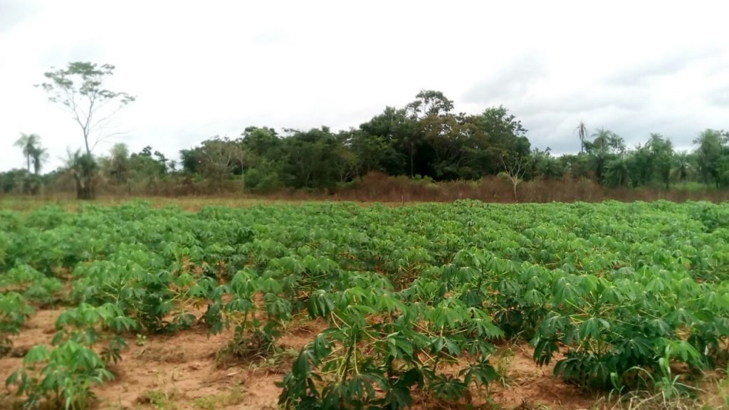 Vendo campo en la ciudad Caraguatay — foto 2