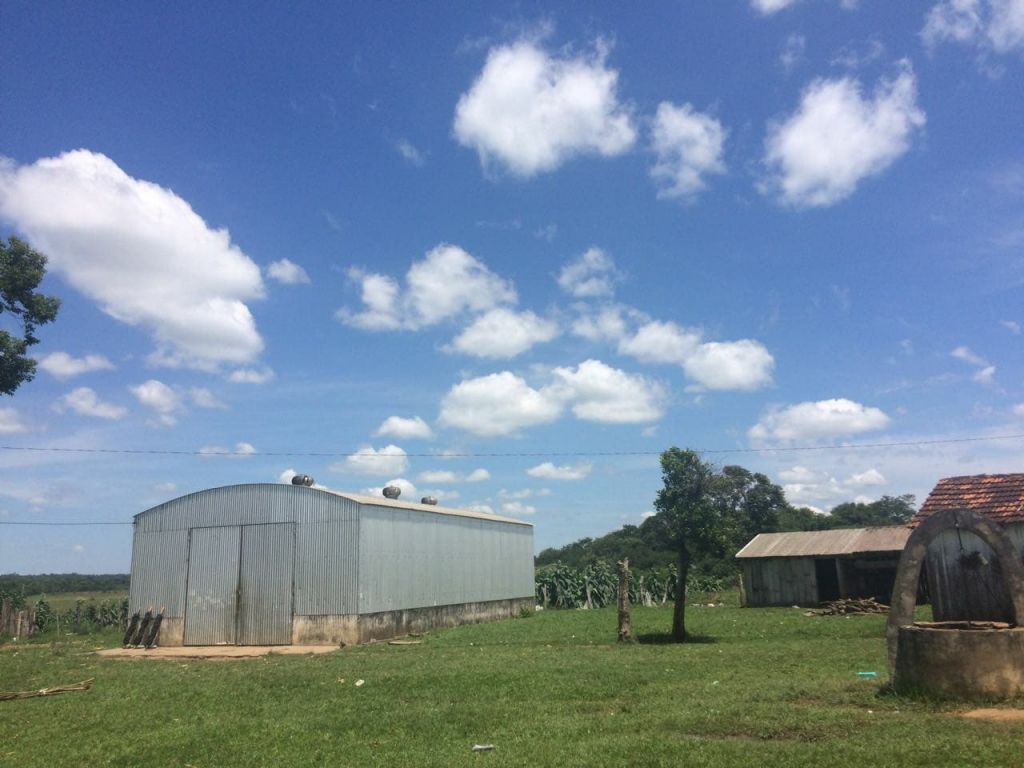 Estancia San Pedro Del Paraná — foto 3