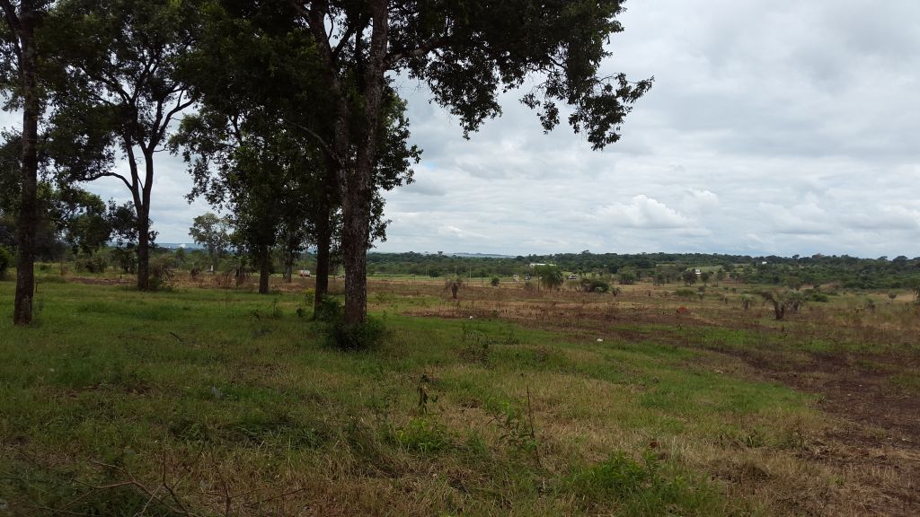 VENDO TERRENO EN CAAGUAZÚ!! BARRIO TORO BLANCO — foto 2