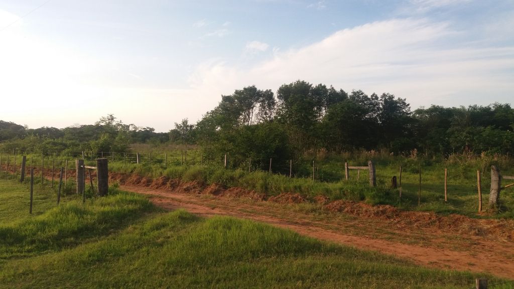 VENDO CAMPO DE 12 HAS. — foto 2