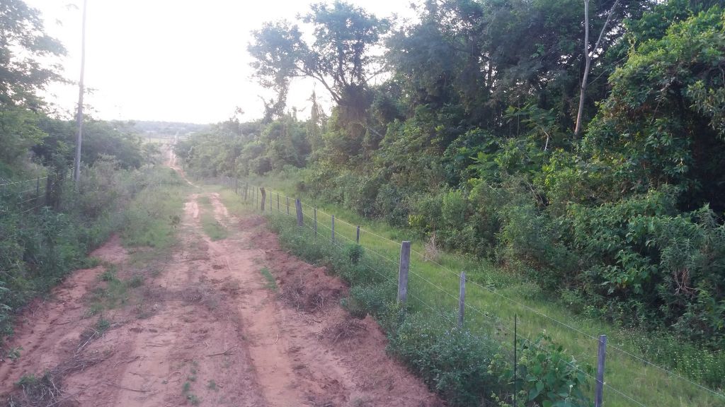 VENDO CAMPO DE 12 HAS. — foto 3