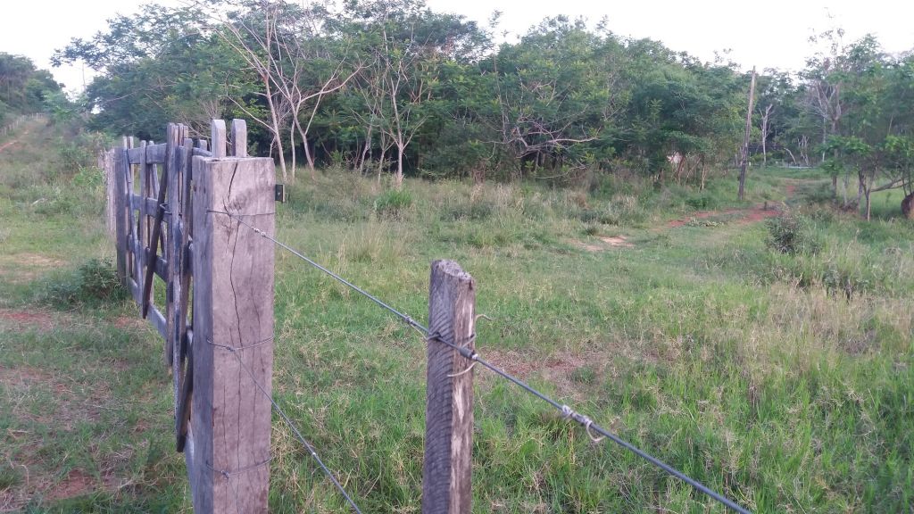 VENDO HERMOSO BALNEARIO DE 1,5 HAS. — foto 2