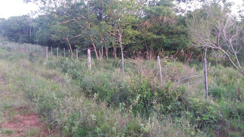 VENDO HERMOSO BALNEARIO DE 1,5 HAS. — foto 3