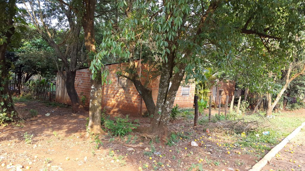 VENDO PROPIEDAD EN HERNANDARIAS - ALTO PARANÁ — foto 3
