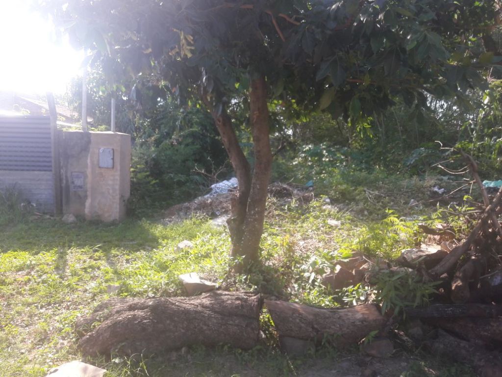 Vendo Terreno Entre Asuncion y Mariano Roque Alonso — foto 2