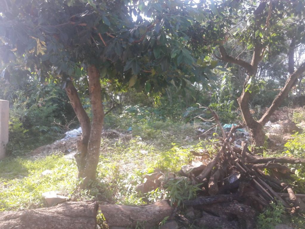 Vendo Terreno Entre Asuncion y Mariano Roque Alonso — foto 3