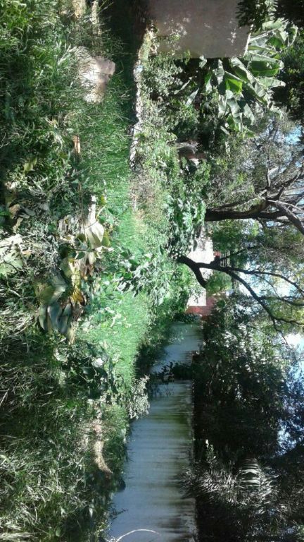 VENDO TERRENO CERCA DE HOSPITAL DE CLÍNICA — foto 3