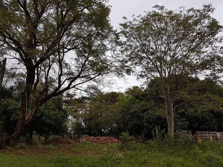 Vendo terreno en Luque Mora Cue — foto 3