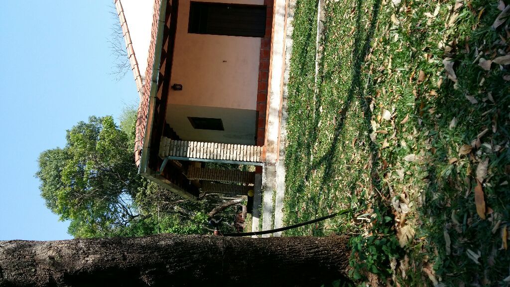 VENDO 6H PIRIBEBUY SOBRE ASFALTO — foto 2