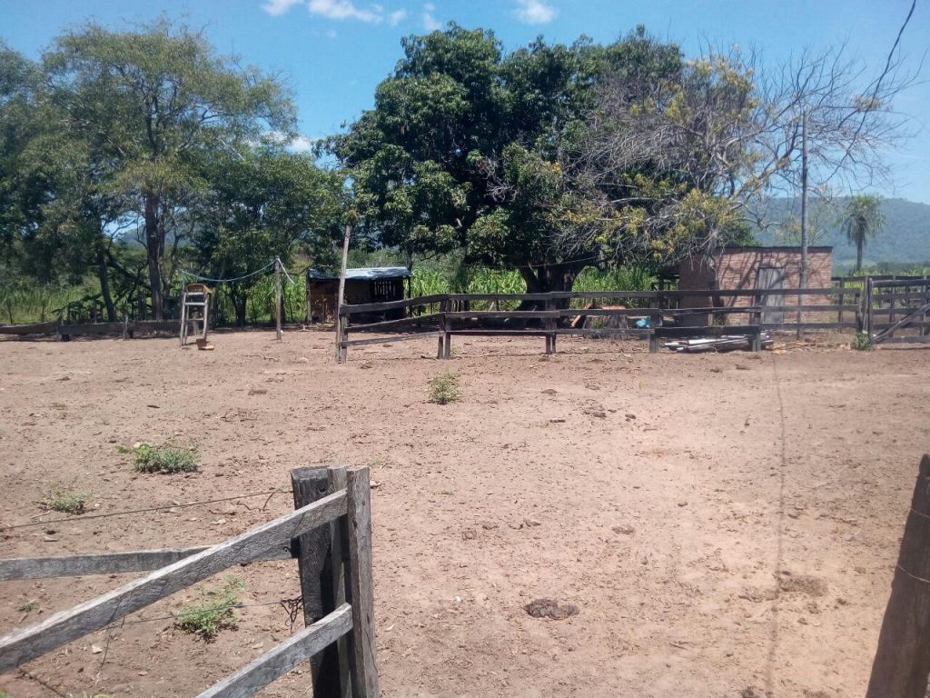 VENDO PROPIEDAD RURAL — foto 3