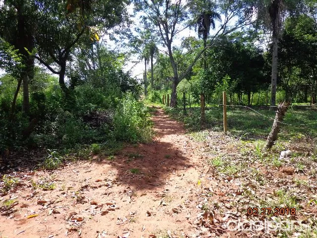 REMATO TERRENO DE 5.106 M2 EN CAPIATA — foto 2