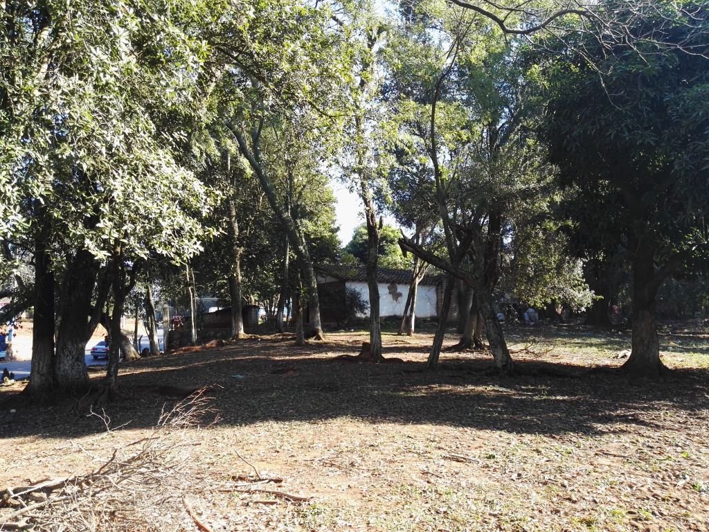 VENDO TERRENOS EN LUQUE ZONA IPS, CAÑADA, YKUA DURÉ, VILLA POLICIAL Y MORA KUE, FINANCIO — foto 2