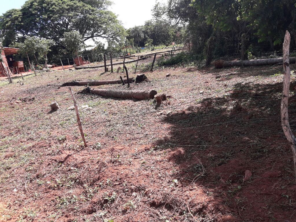 Vendo Propiedad de: 1335m2 En Limpio — foto 3