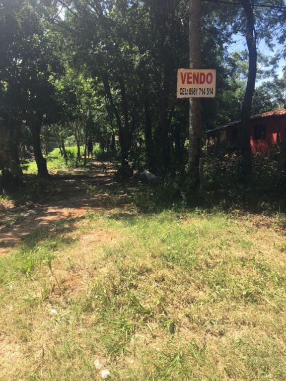 VENDO TERRENO DE 384 m2 EN VILLETA — foto 3