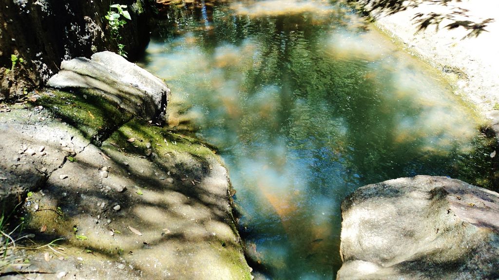 LA CASCADA de SCHWEIZER — foto 2
