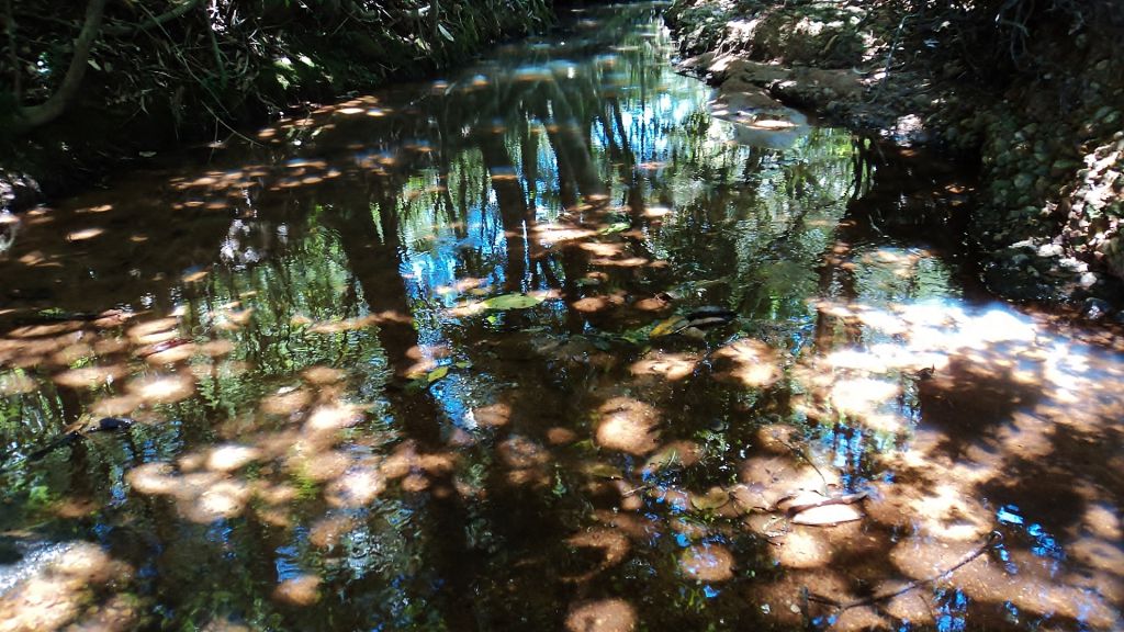 LA CASCADA de SCHWEIZER — foto 3