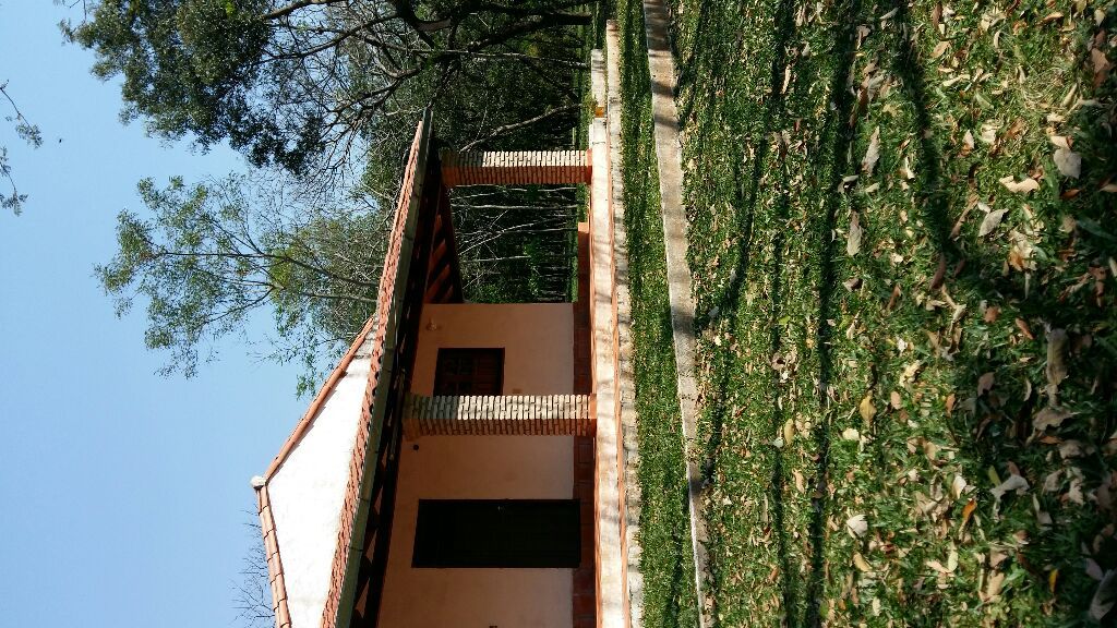 VENDO 6 HECTAREAS PIRIBEBUY — foto 3