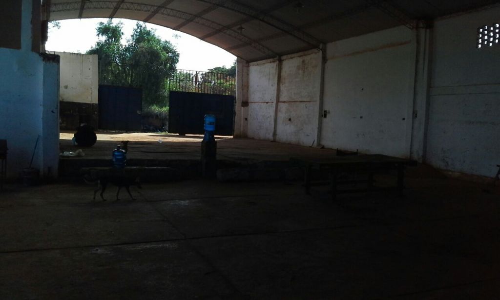 Vendo tinglado — foto 3