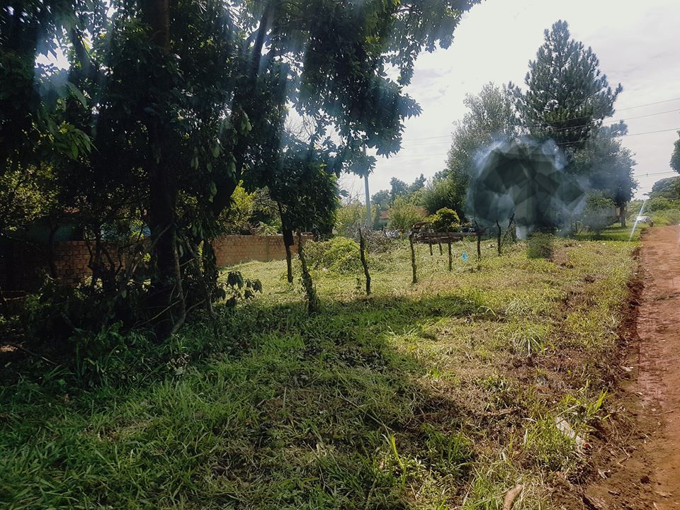 HERMOSO TERRENO EN SAN ISIDRO — foto 2