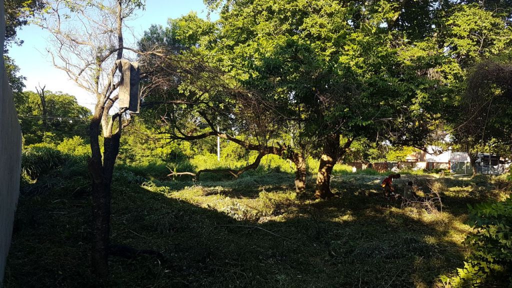 Terreno en Villa Policial - Luque — foto 2