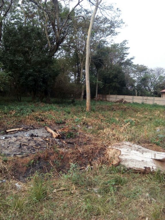 Vendo Propiedad en Mariano Roque Alonso — foto 3