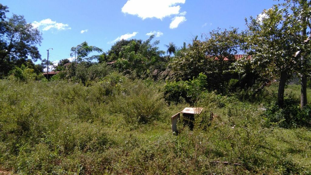 OFERTOOOO TERRENO EN CAPIATA — foto 2