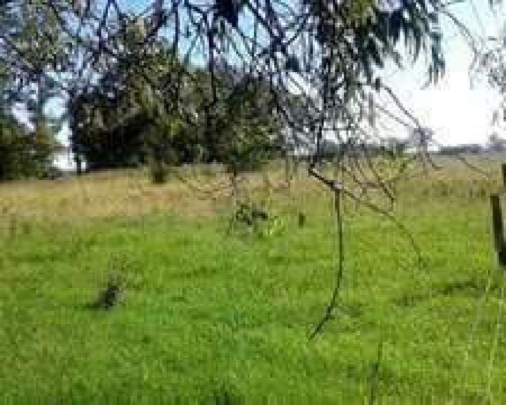 Terreno en San Ignacio Misiones — foto 2