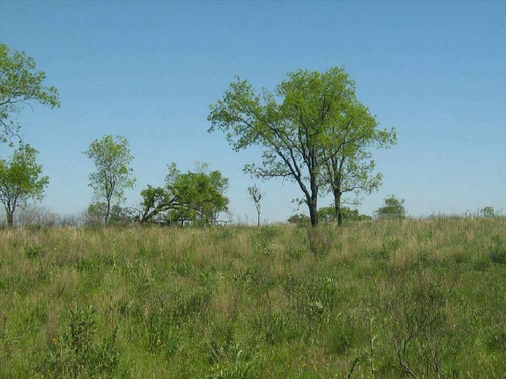 Terreno en San Ignacio Misiones — foto 3