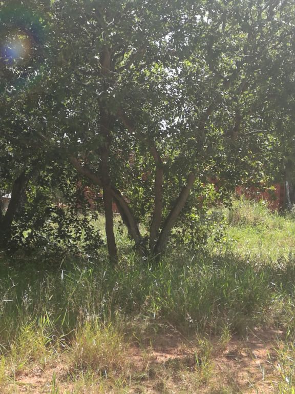 Vendo terreno en ytu 12 x 40 por 30millones,hermoso es el lugar especial para ir a descansar — foto 3