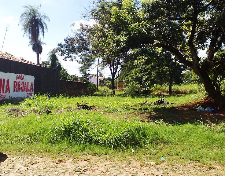 Vendo terreno en calle Tte. Ettiene a 1 cuadra de Mcal. Lopez — foto 2