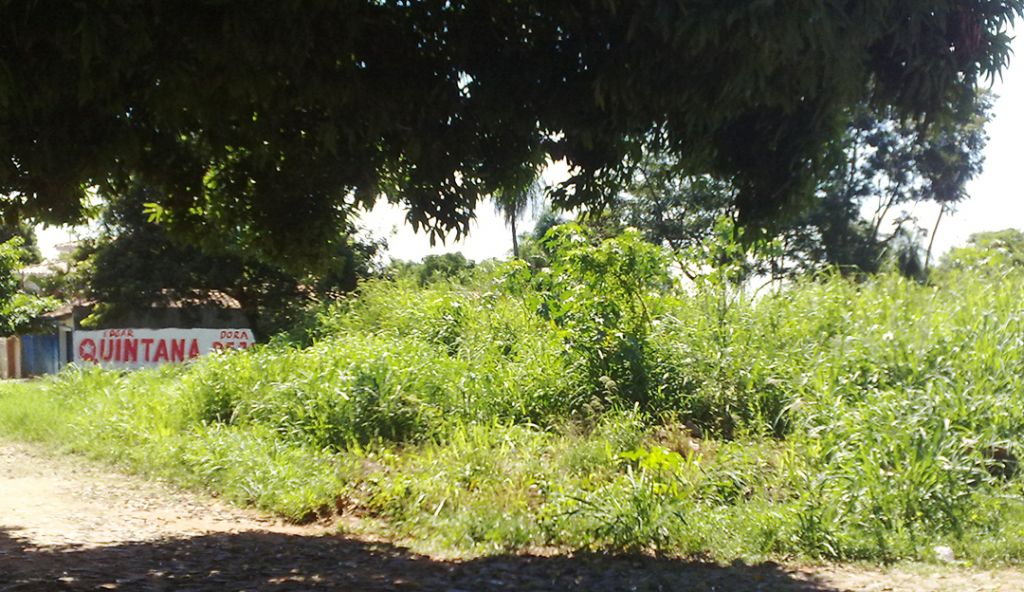 Vendo terreno en calle Tte. Ettiene a 1 cuadra de Mcal. Lopez — foto 3