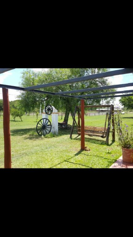 Vendo una granja De 18 ha con Eucaliptos — foto 3