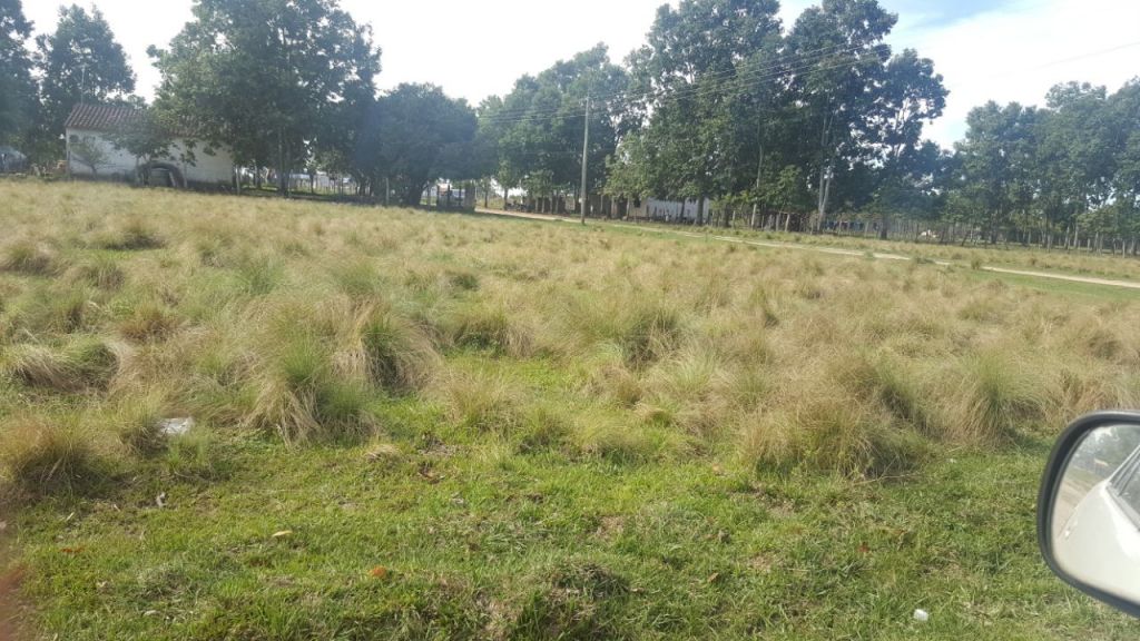 TERRENO EN VILLA FLORIDA 800 m2, 35 MILLONES, EXCELENTE UBICACIÓN. — foto 3