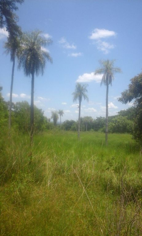 Vendo terreno en Luque - Yukyry de mas de 2 hectareas conversable! — foto 2