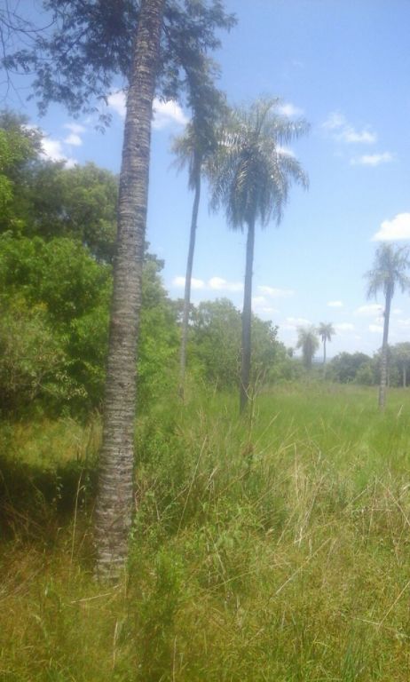 Vendo terreno en Luque - Yukyry de mas de 2 hectareas conversable! — foto 3