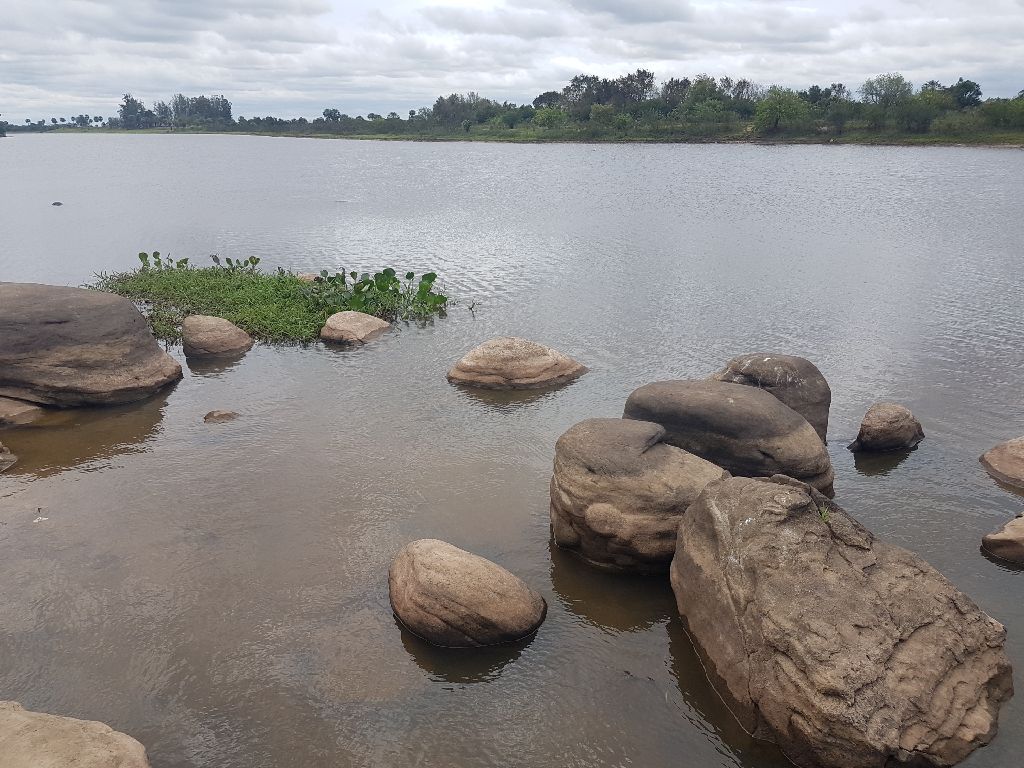 VENDO GRANJA CON INFRAESTRUCTURA! — foto 2