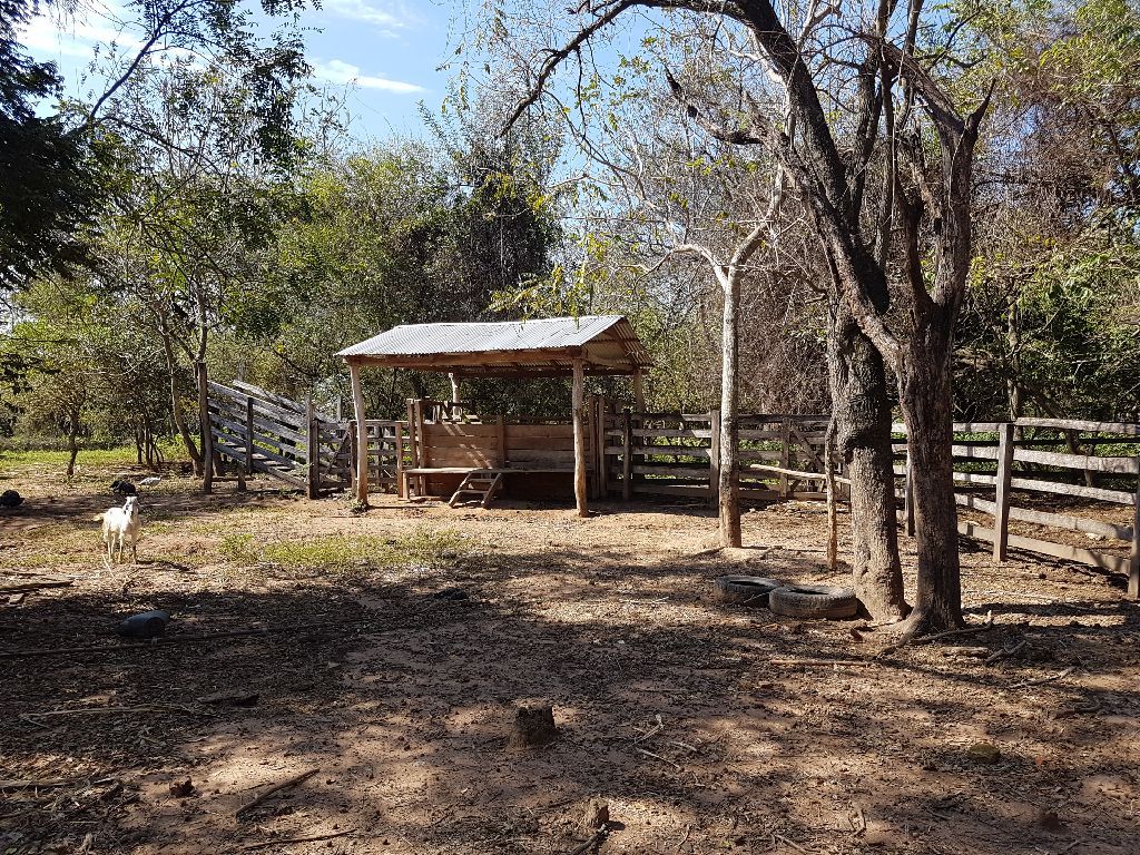 VENDO GRANJA CON INFRAESTRUCTURA! — foto 3