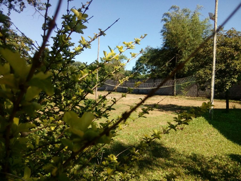 VENDO QUINTA DE 3.300 METROS CUADRADOS EN J. A. SALDÍVAR, RUTA 1 KM. 28, A 100 MTS. BOMBEROS — foto 3