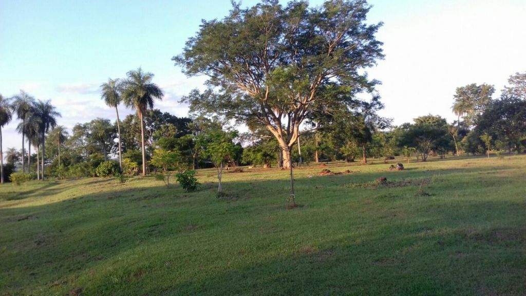 CASA QUINTA EN YAGUARON — foto 3