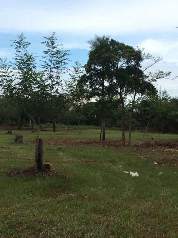 VENDO TERRENO — foto 2
