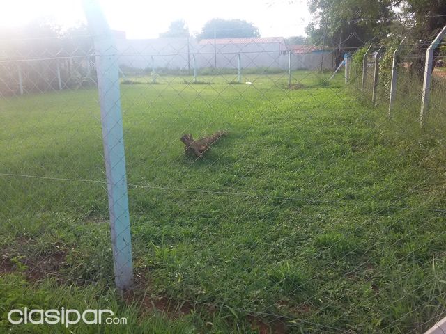 VENDO TERRENO EN ESQUINA EN CAPIATÁ — foto 2
