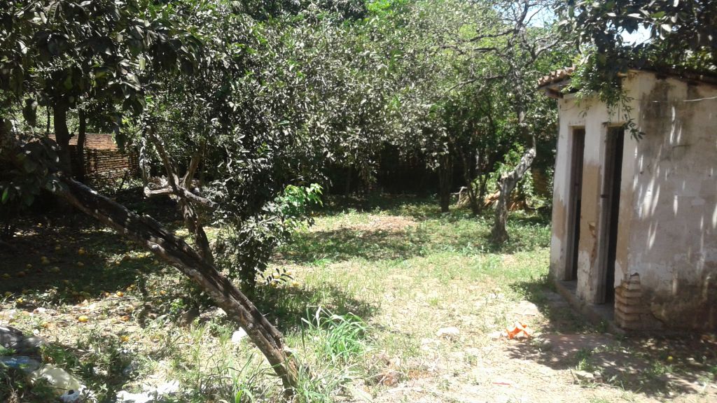 VENDO CASA EN LUQUE — foto 2