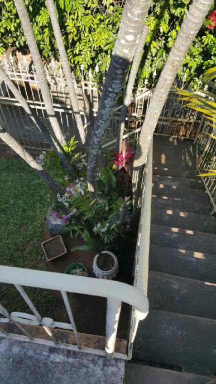 Vendo casa, zona Terminal!!! — foto 3