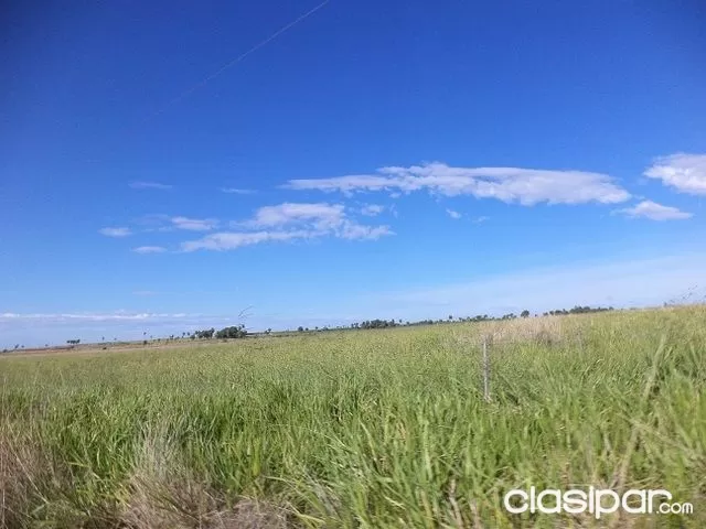 PROPIEDAD EN LA ZONA DE VALENZUELA 155 has A 6km LA RUTA Nº 2 — foto 3