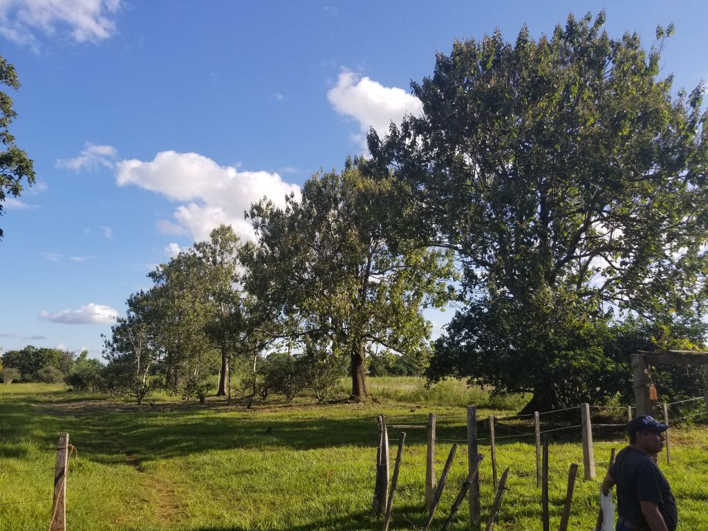 VENDO PROPIEDAD EN CARAGUATAY DPTO CORDILLERA. — foto 2