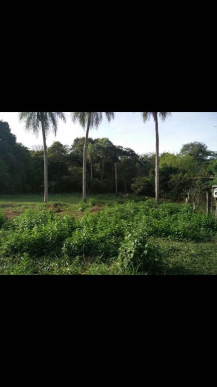VENDO TERRENO EN YUKURY LUQUE 9450 M² — foto 3