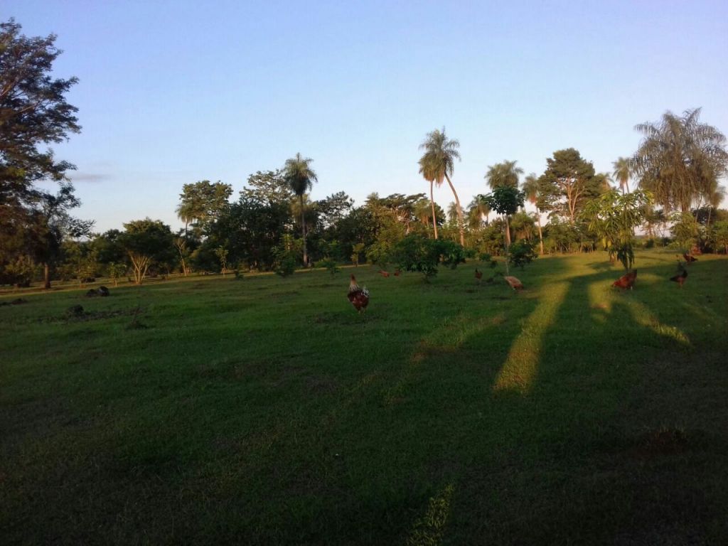 CASA QUINTA EN YAGUARON¡¡¡ — foto 2