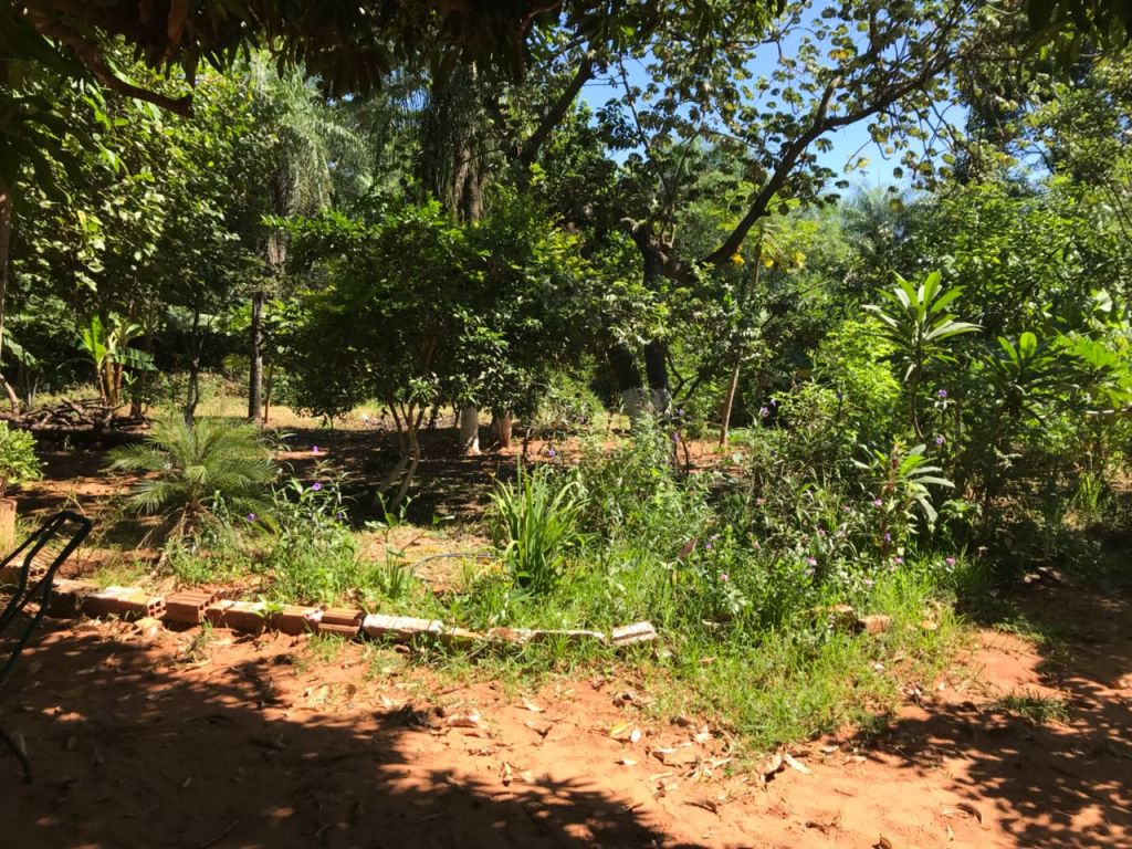 Vendo Terreno Zona Limpio - Luque — foto 3